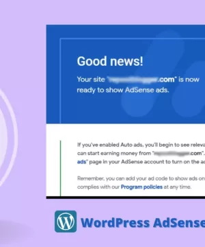 Best WordPress Theme for AdSense Approval (1)