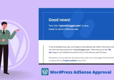 Best WordPress Theme for AdSense Approval (1)